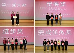 完美团队合作,勒沃库森晋级四强的简单介绍 完美团队合作,勒沃库森晋级四强的简单介绍